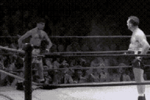 sarbacane.gif
