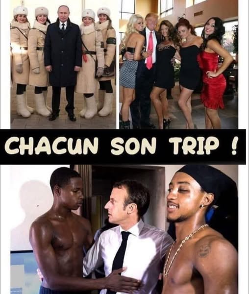 inzorétif1.jpg